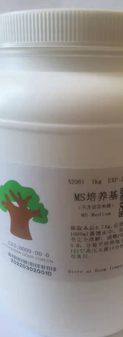 灭菌室